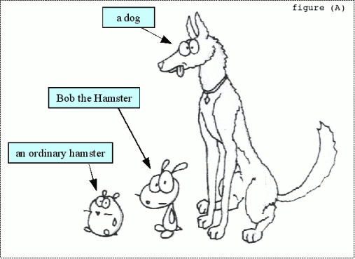 Figure (A), Hamster/Bob/Dog comparison chart